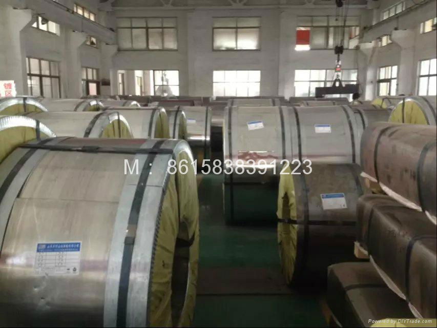 lacquered electrolytic tinplate sheet ETP steel coil