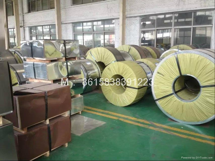 lacquered electrolytic tinplate sheet ETP steel coil 5