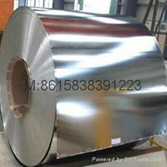 Tuna cans tinplate and TMBP