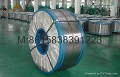 Electrolytic tinplate sheet tinplate coil