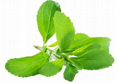 Stevia extract