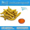 Organic Natural Turmeric Root Extract