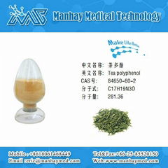 100% Natural Green Tea Extract Powder 40%-98% Total Tea Polyphenols