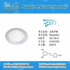 Polygonum Cuspidatum Extract Resveratrol