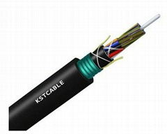 Armored and Double Sheathed Outdoor Cable