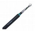 Armored and Double Sheathed Outdoor Cable 1