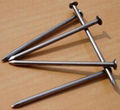 Nails And Fastener stainless steel roofing nails Common Nails 1