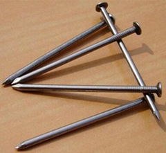 Nails And Fastener stainless steel roofing nails Common Nails