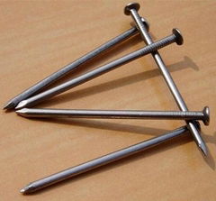 Nails And Fastener stainless steel roofing nails Common Nails