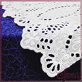 Exquisite cotton embroidery fabric 2