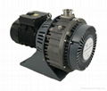 Single-stage DRY Pump Structure Theory vacuum pumps 1