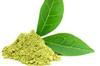 Green Tea Extract 1