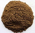 Valerian Extract 1