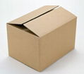 Corrugated Fiberboard Carton Box 1
