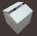 Corrugated Fiberboard Carton Box 3