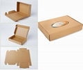 Corrugated Fiberboard Carton Box 1