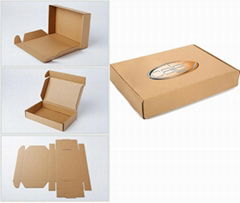 Corrugated Fiberboard Carton Box