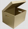 Corrugated Fiberboard Carton Box 3