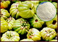 Garcinia Cambogia 1