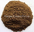 Valerian Extract 1