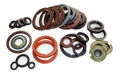 oil seals 3