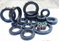 oil seals 4