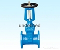 Open rod soft seal gate valve Z41X-10