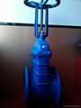 Open rod soft seal gate valve Z41X-10/16Q 3