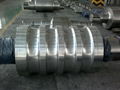 Cast iron rolls for rolling mills