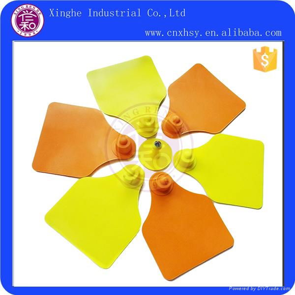 China Cattle Ear Tag Supplier 2