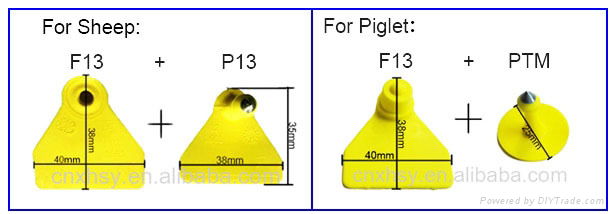 AFFD Sheep/Piglet Ear Tag