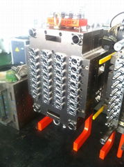 SC 32Cavity 38mm 80g Hot Runner PET Preform Mould