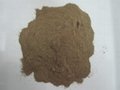 Dried sargassum powder