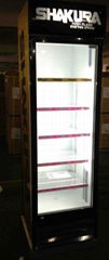 220L Single Door Upright Cooler