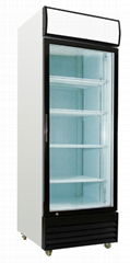 450L Single Door Upright Cooler