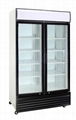 600L Double Door Upright Cooler