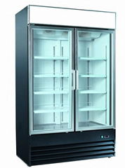 1000L Vertical Freezer