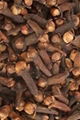 Clove 1