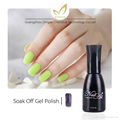 High Quality Long Lasting Uv Cat Eye Color Gel Nail Polish