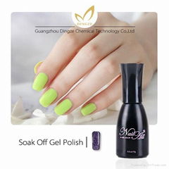 High Quality Long Lasting Uv Cat Eye Color Gel Nail Polish