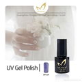 Nail Design Color Gel Polish UV LED Gel Nail,Factory New Design 1