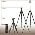  SLR carbon fiber  camera tripod, portable tripod stand 5