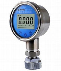 Digital Pressure Gauge