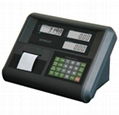 Weighing Display Instrument