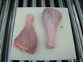 Turkey Drumsticks Offer PRC Approved Europe 3