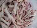 chicken feet 2