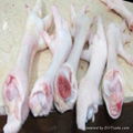 Processed Frozen Chicken Feet,Halal