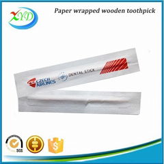 Wooden toothpick with mint