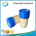 Wooden toothpick with dispensor 2