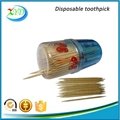 Wooden toothpick with dispensor 1